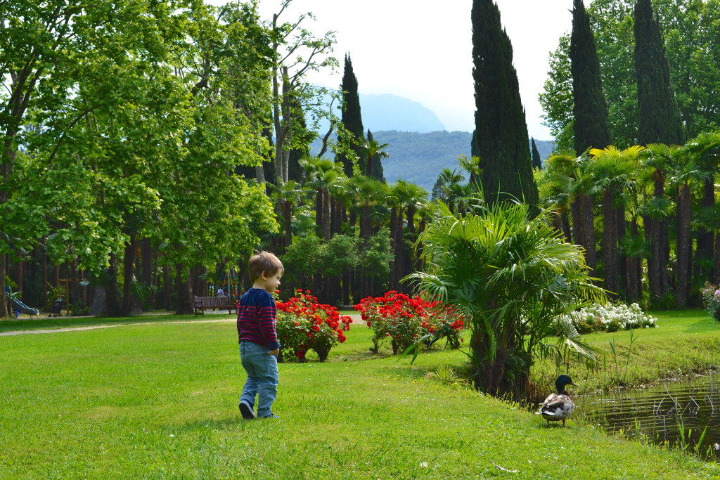 Hotel du lac et du parc