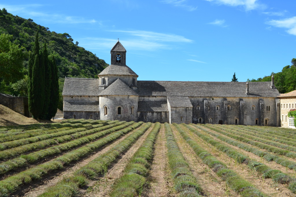 abbazia di Senanque