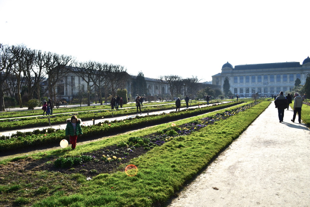 Jardin des plantes